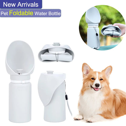 Folding Pet Water Dispenser